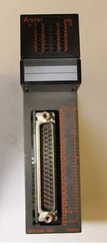 A1SY81