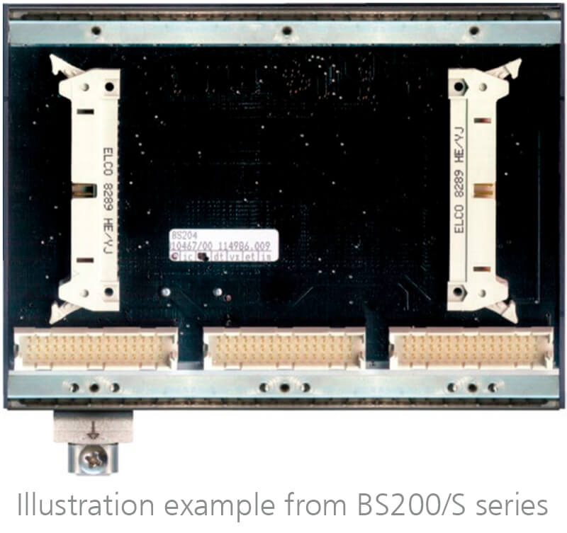 BS213/S